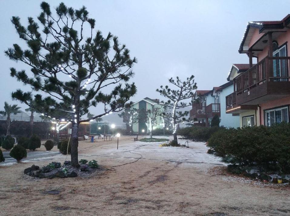 Jeju Time-Travel Pension Exterior foto