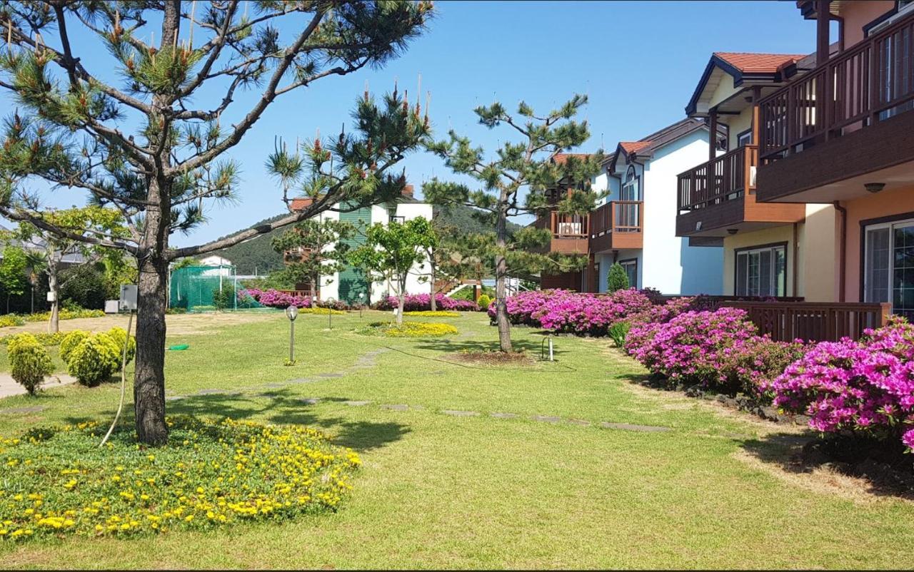 Jeju Time-Travel Pension Exterior foto