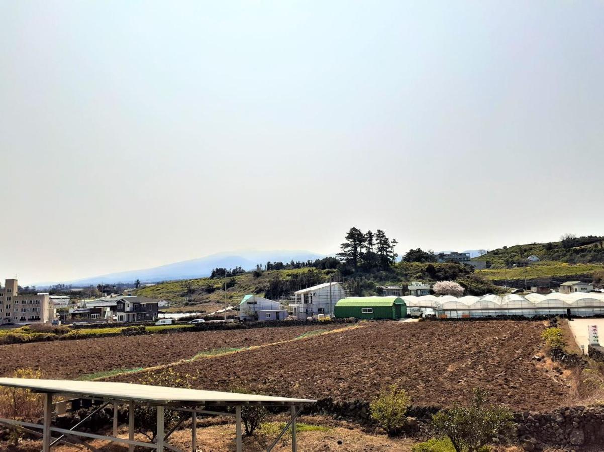 Jeju Time-Travel Pension Exterior foto