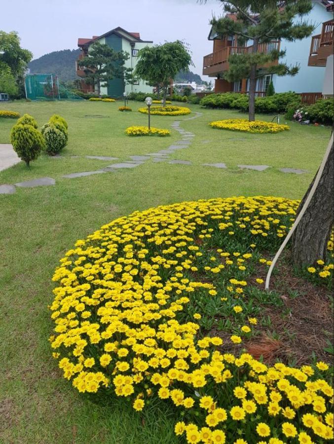 Jeju Time-Travel Pension Exterior foto