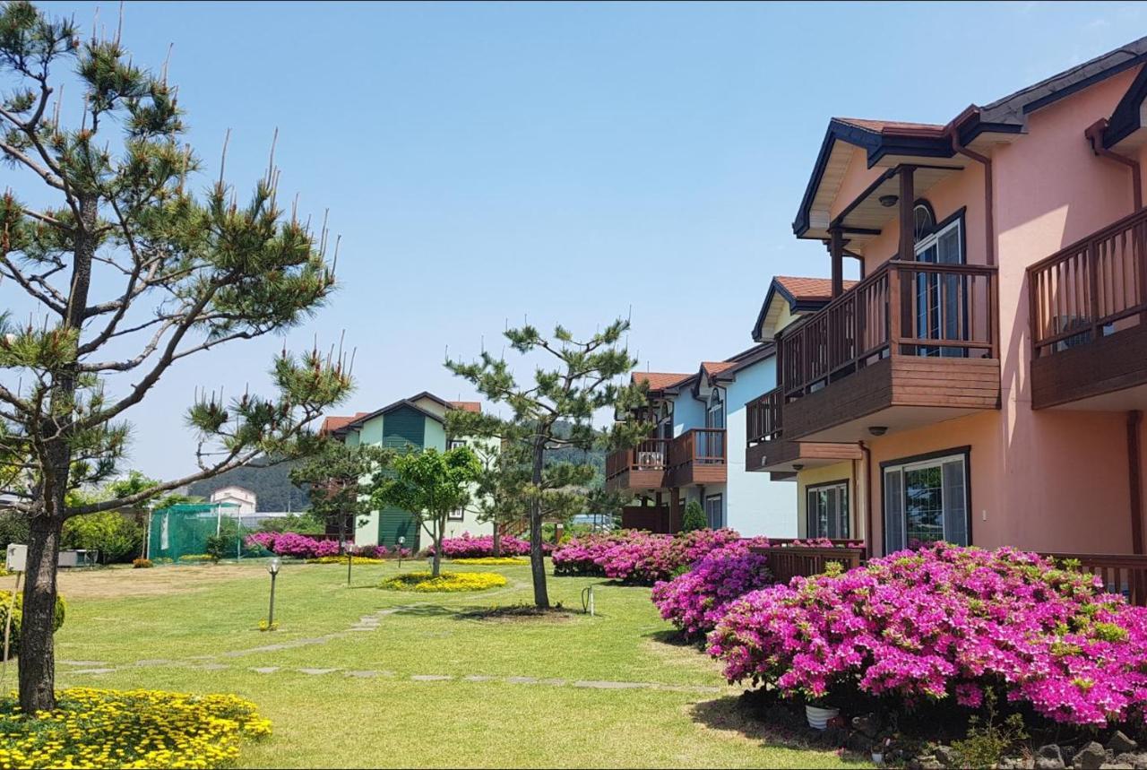 Jeju Time-Travel Pension Exterior foto